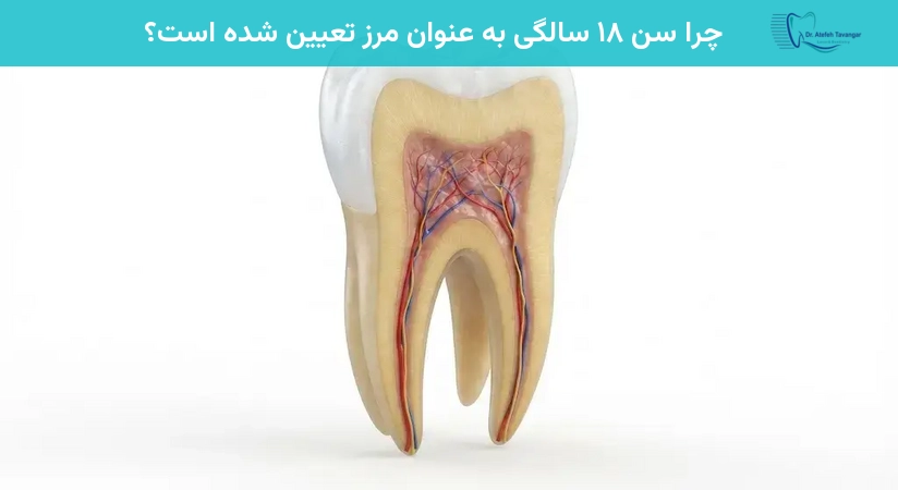 چرا سن ۱۸ سالگی به عنوان مرز تعیین شده است؟